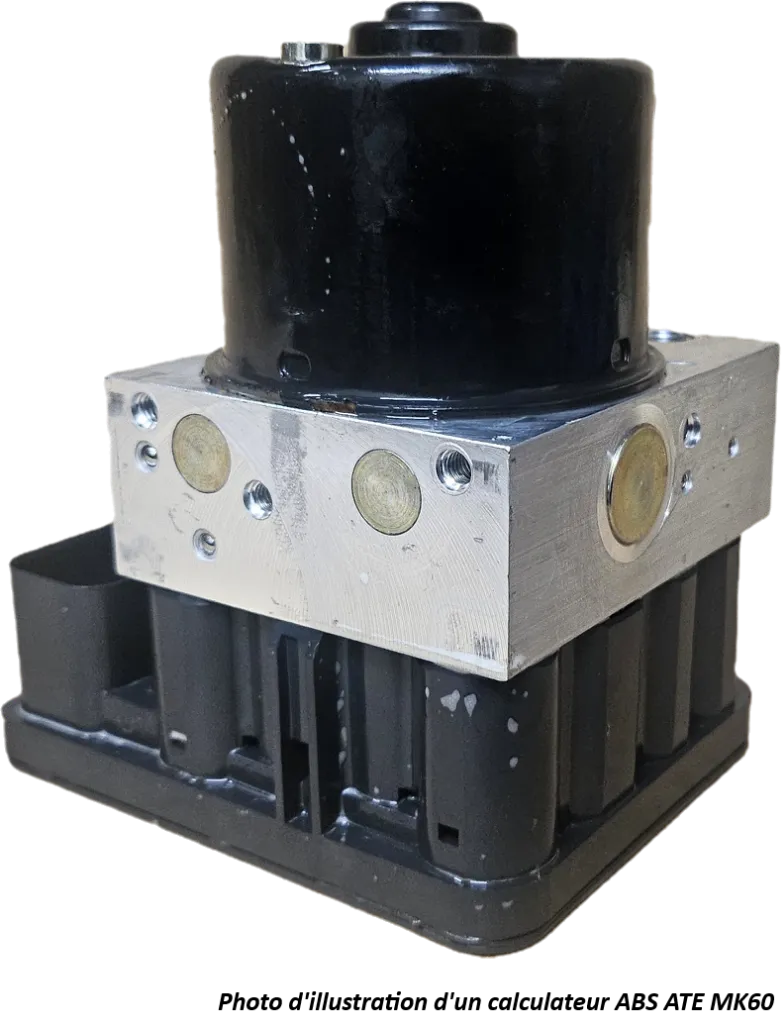 20260217_081814 (1).webp